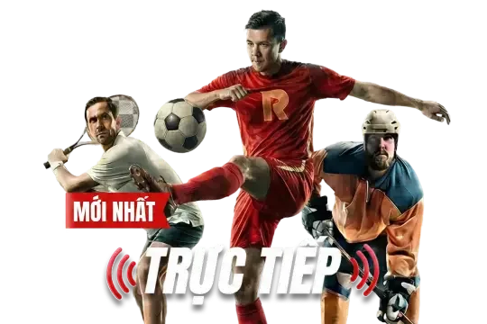 Hình minh họa Chơi có trách nhiệm camis